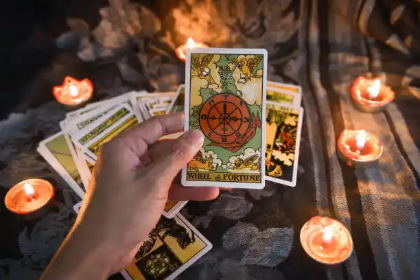 tarot cards Science Hill